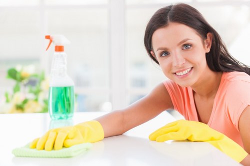Professional carpet cleaner in Westkensington treating a living room carpet