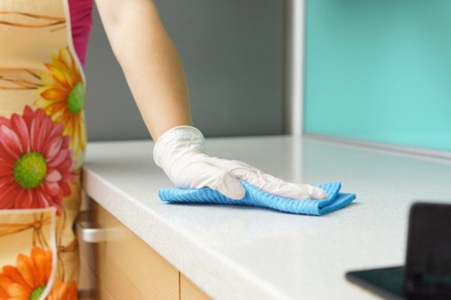 Professional oven cleaning in a Westkensington kitchen