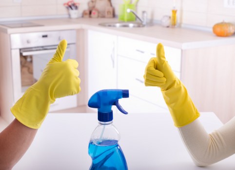Professional upholstery cleaning in a Westkensington living room
