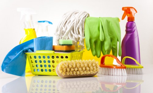 Deep cleaning oven trays and racks in a Westkensington home