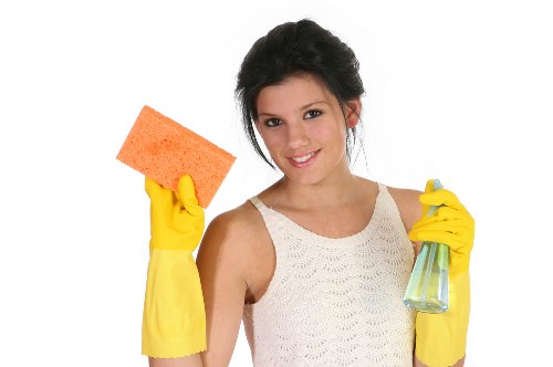 Carpet cleaning service terms introduction for Westkensington Carpet Cleaners