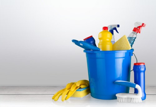 Professional carpet cleaning in a West Kensington home