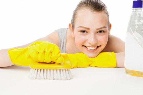 Kitchen cleaning service in Westkensington home