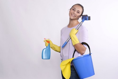 Domestic cleaners in Westkensington maintaining a tidy and fresh living room