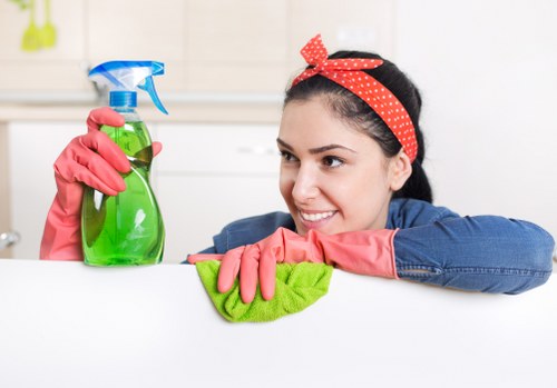 Domestic cleaner working in a Westkensington kitchen