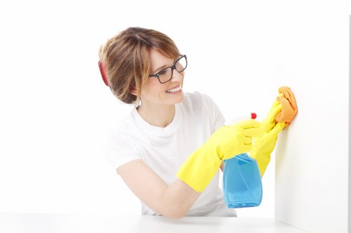 Local cleaner in Westkensington providing professional cleaning support