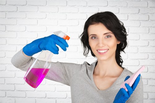 Eco-friendly cleaning company in Westkensington using safe cleaning products