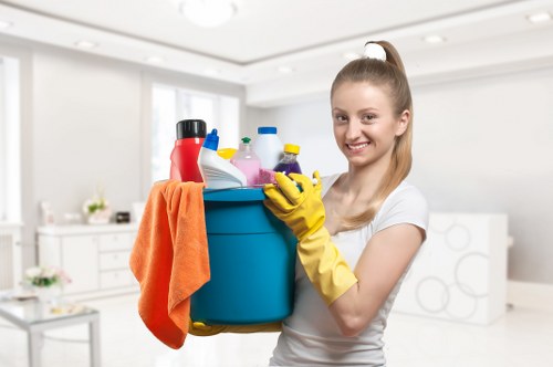 Deep carpet cleaning equipment used in a Westkensington home